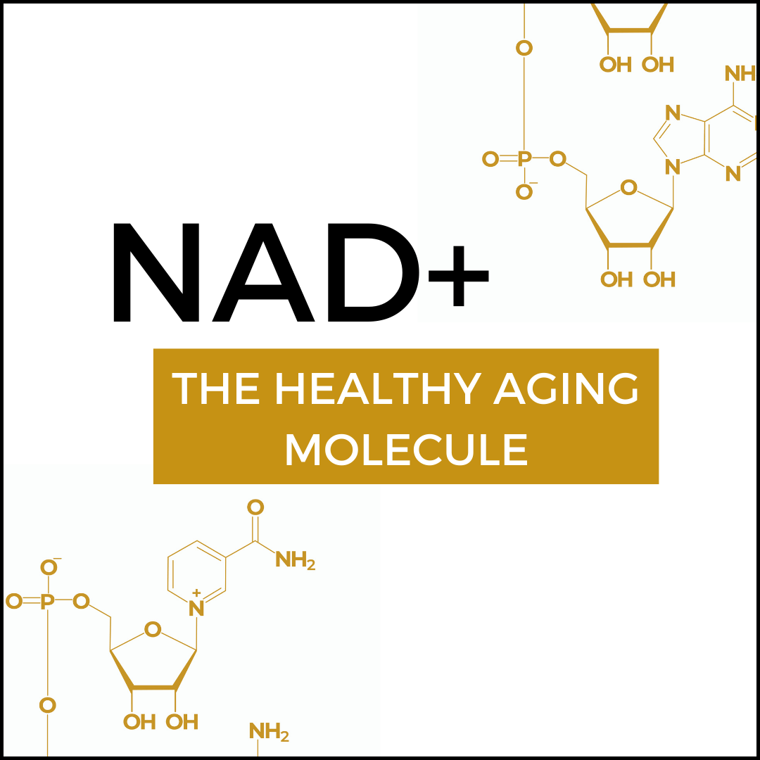 NAD+ the healthy aging molecule