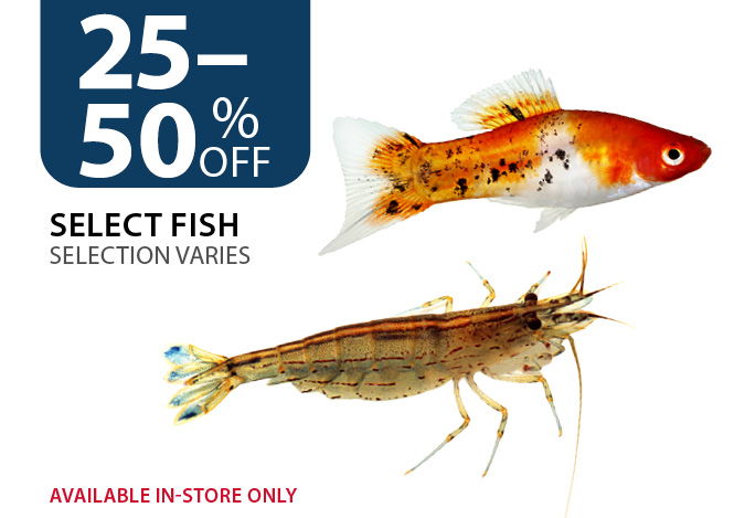 25–50% off select fish. Available in-store only