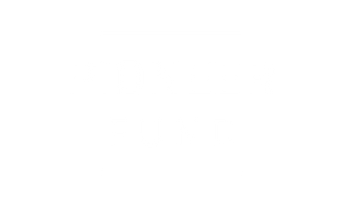 Pioneer Fund Future Fields