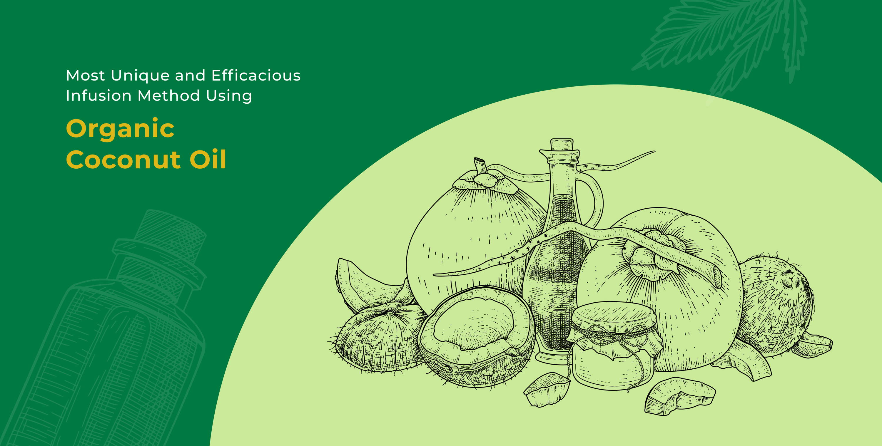 GANESHA HERBS Organic Agarikon Mushroom Extract Powder - 100g, Immune Support, Natural Supplement
