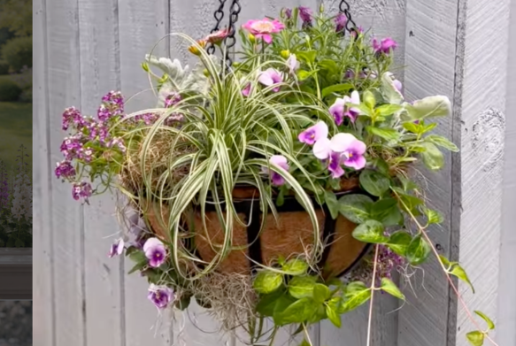 Hanging basket filled with colorful flowers and greenery against a wooden background.