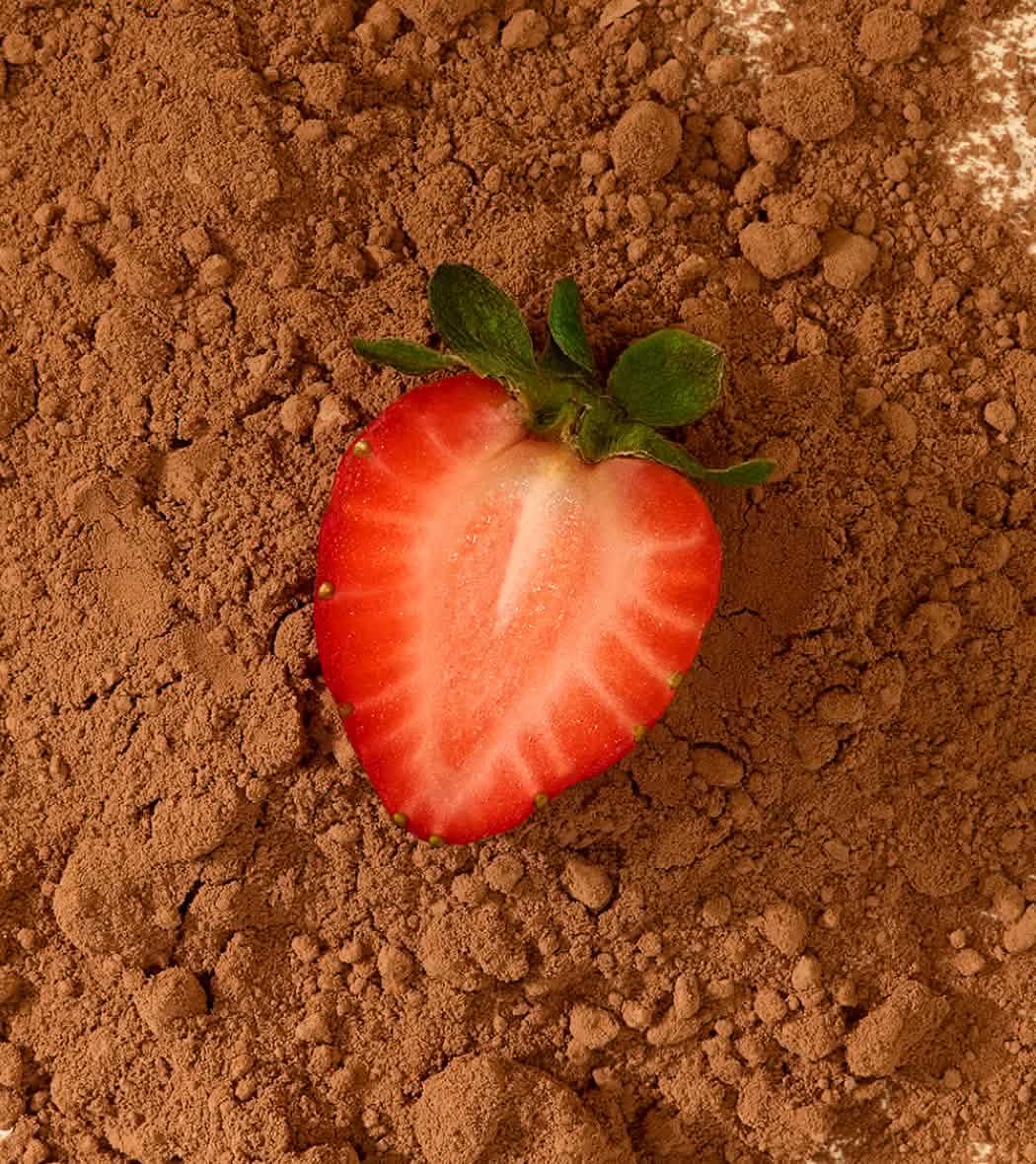 A fresh strawberry on a bed of cocoa powder.