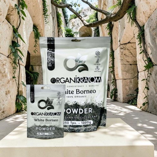 Organik Borneo White Powder packaging on a natural stone background.
