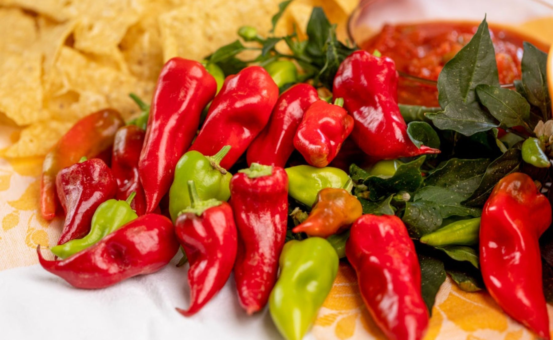 Photo of Goodhearted Tomatoes and Fire Away Hot and Heavy Peppers