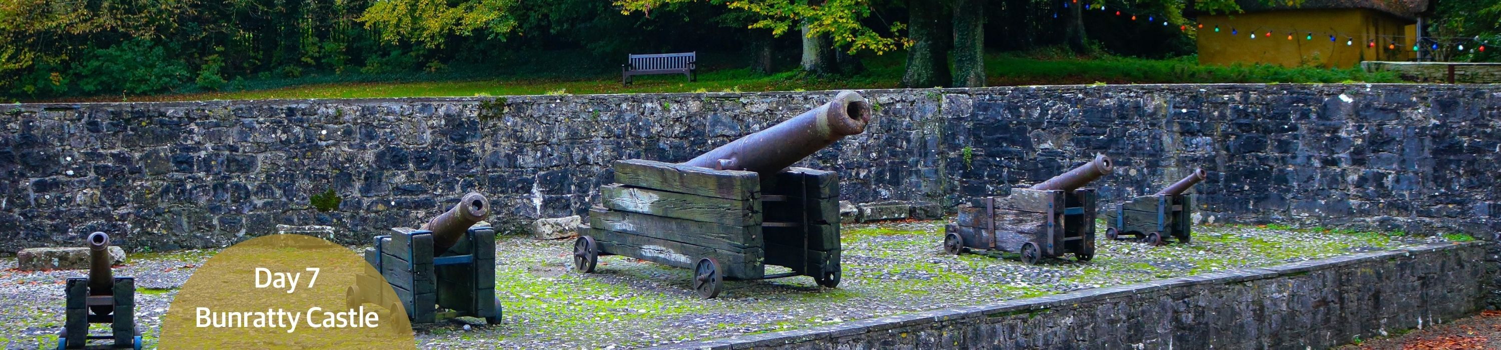 Bunratty Castle - historic cannons