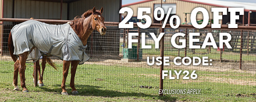 Horse wearing fly gear, promotional text for discount offer.