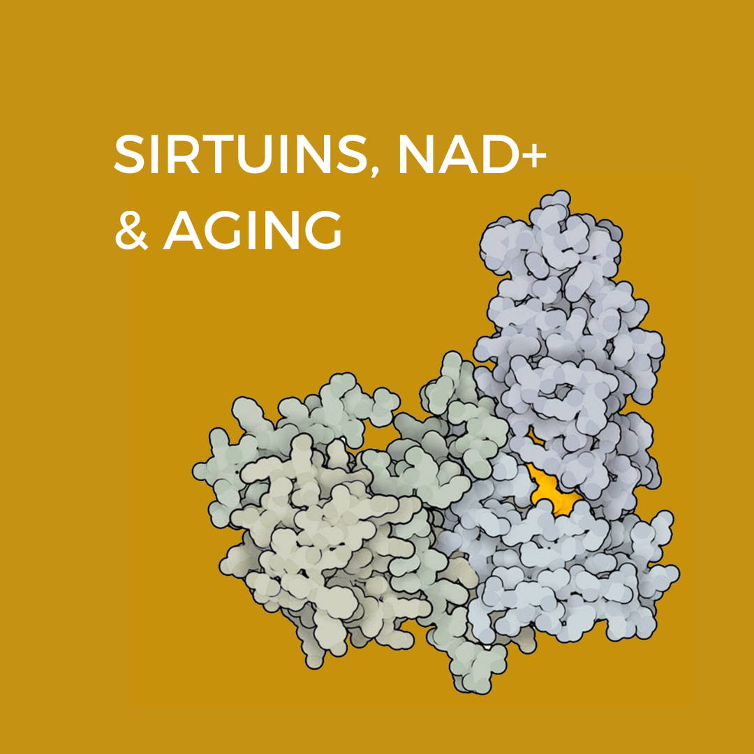 Sirtuins, NAD+ and Aging
