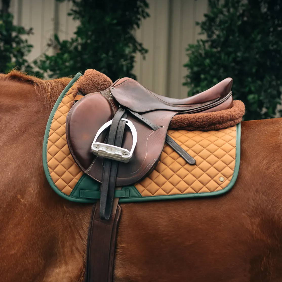 Saddle Pads Category – Sixteen Cypress Saddle Pads Category – Sixteen Cypress