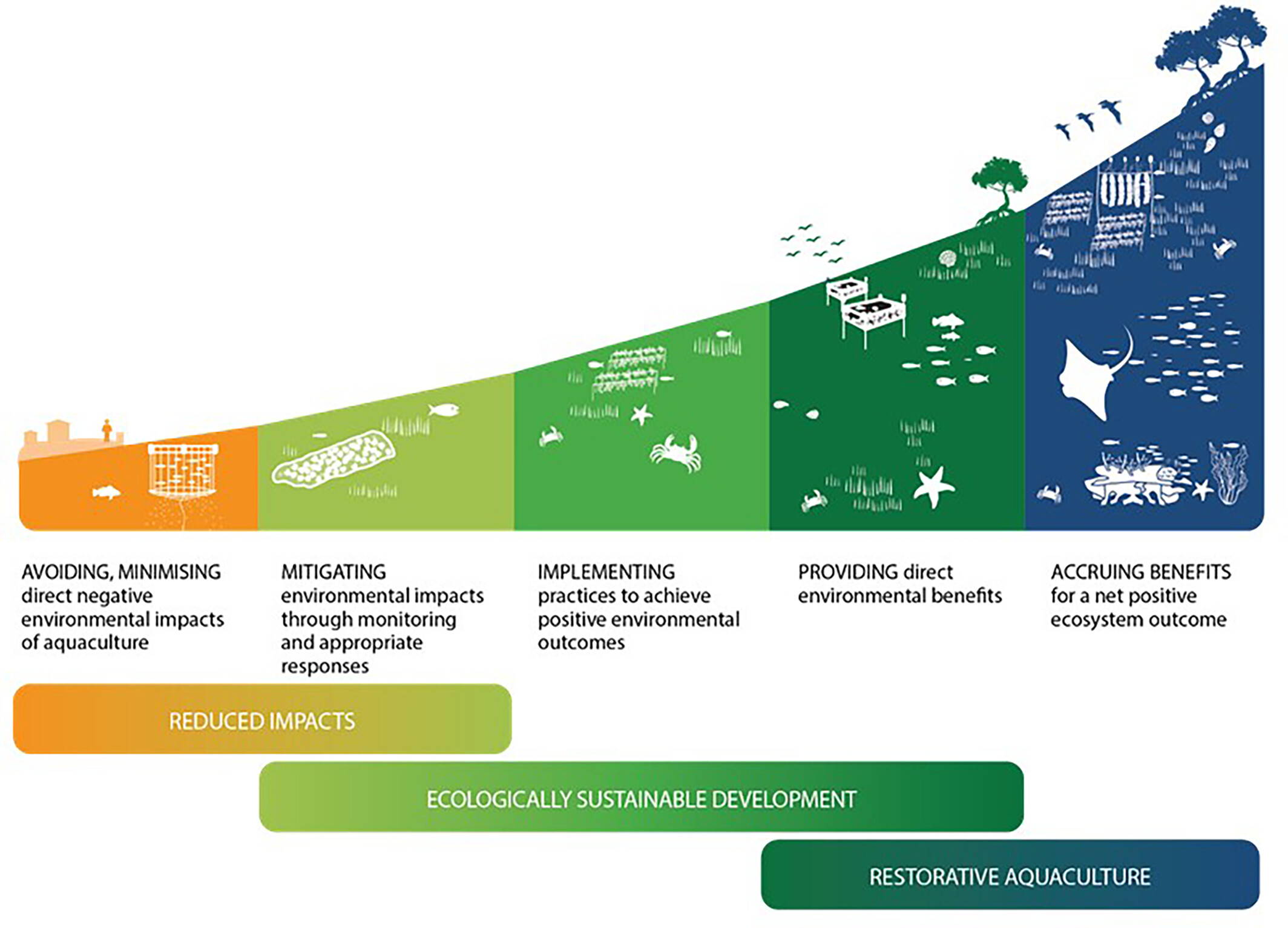 society for conservation biology infographic