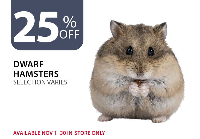 25% off Dwarf Hamsters. Available Nov 1–30 in-store only.
