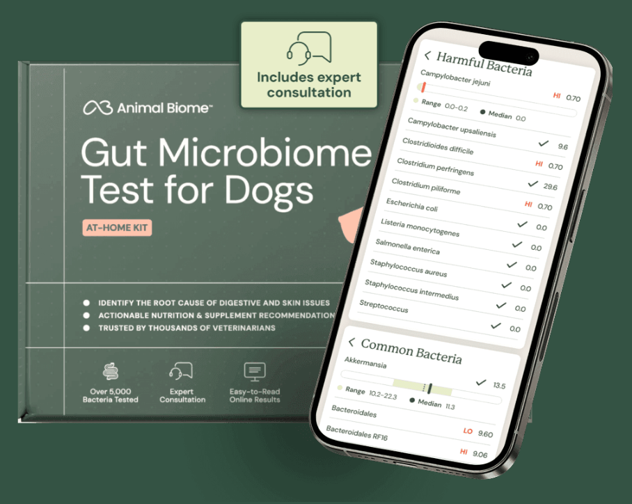 Gut Microbiome Test for Dogs packaging and mobile app display.