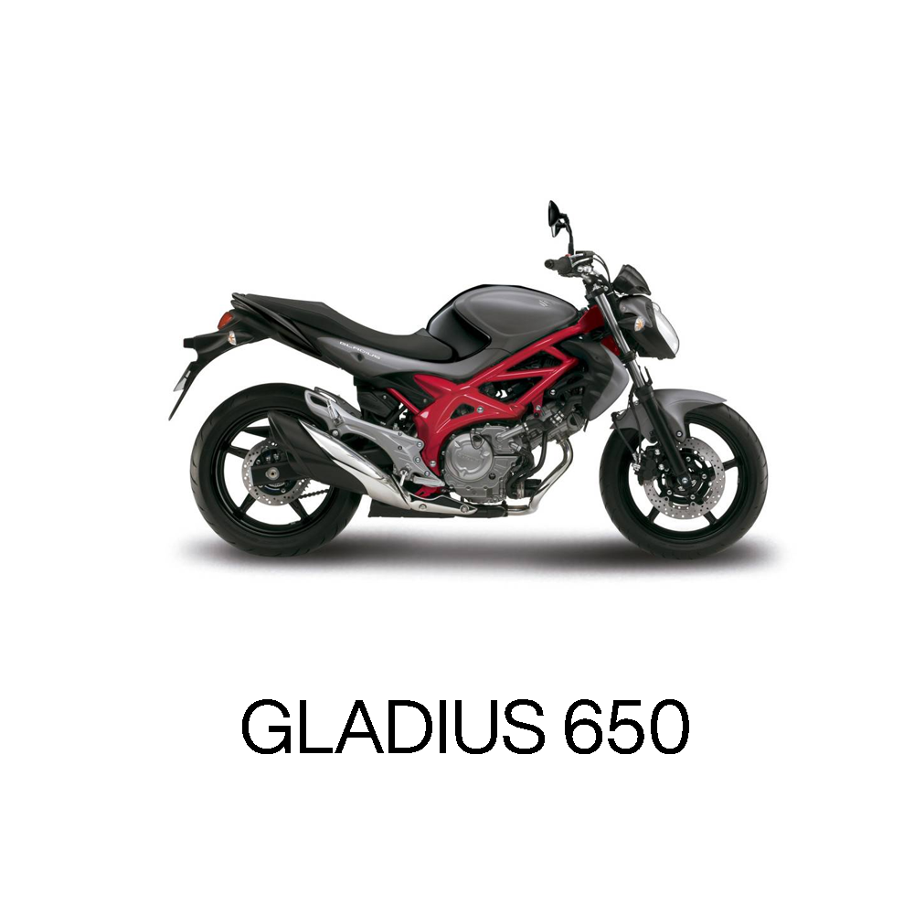 Gladius 650