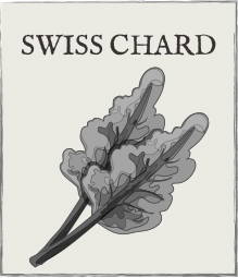 Jump down to swiss chard growing guide