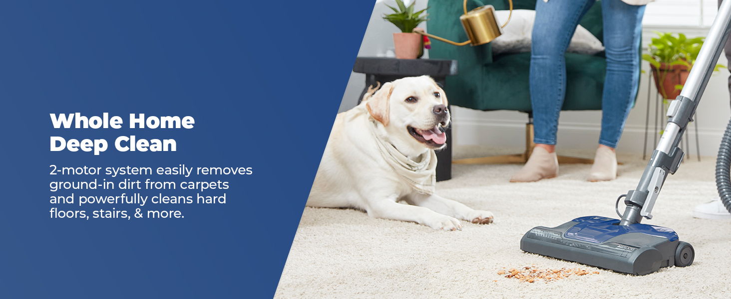 Dog lying on carpet while person vacuums nearby.