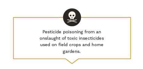 Pesticide poisoning from an onslaught of toxic insecticides used on field crops and home gardens.