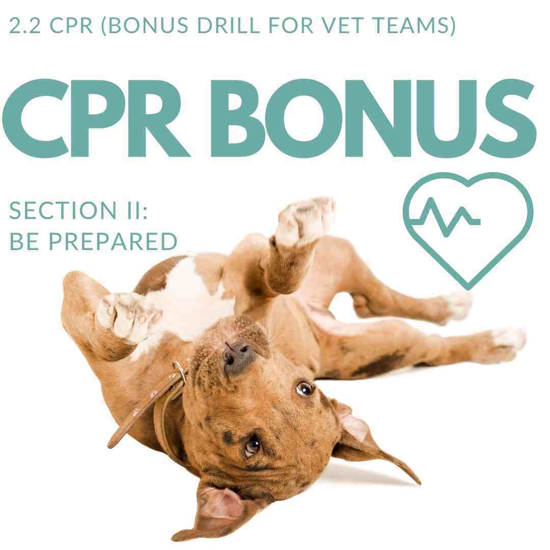 CPR bonus video for vet techs and vet students