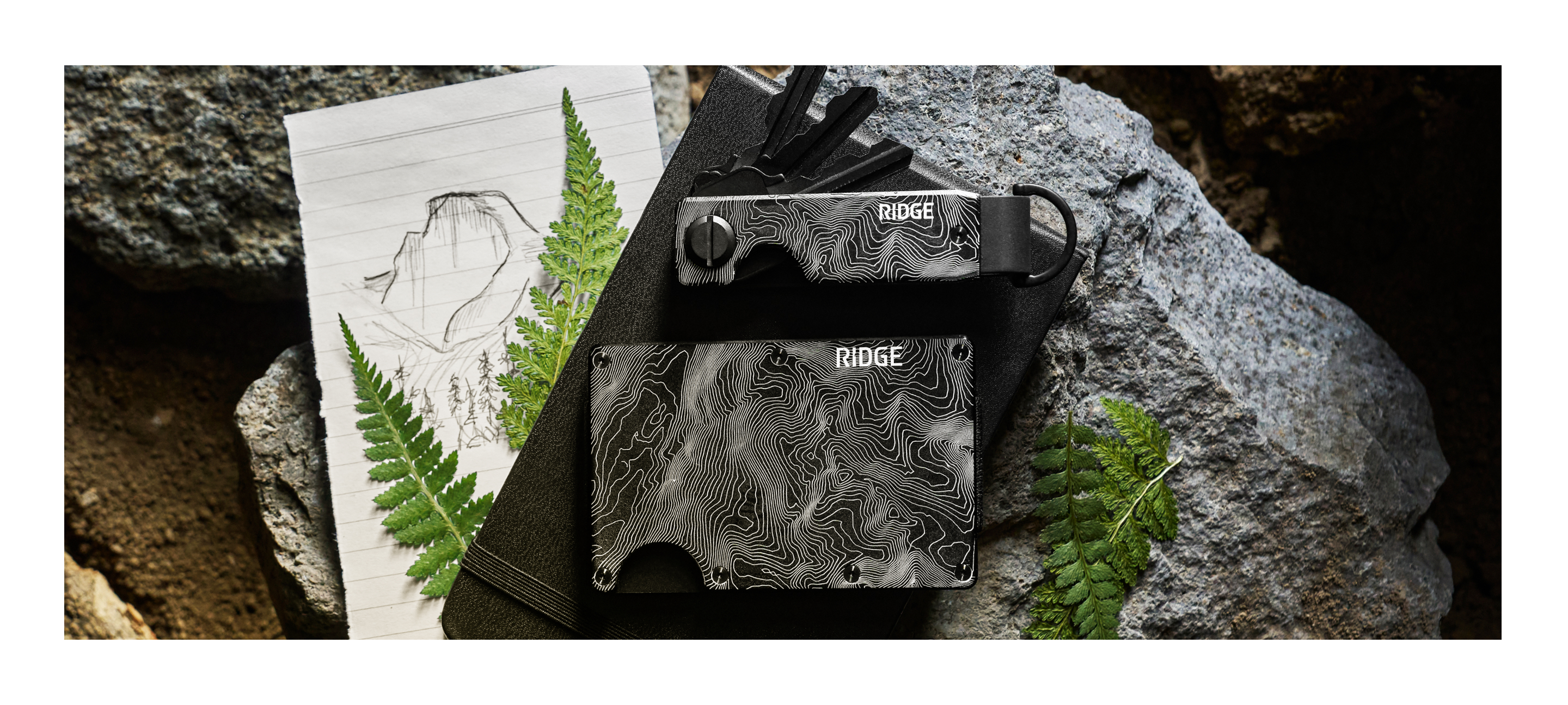 Camera equipment and accessories arranged on a stone surface with greenery.