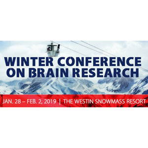 Winter Brain 2019