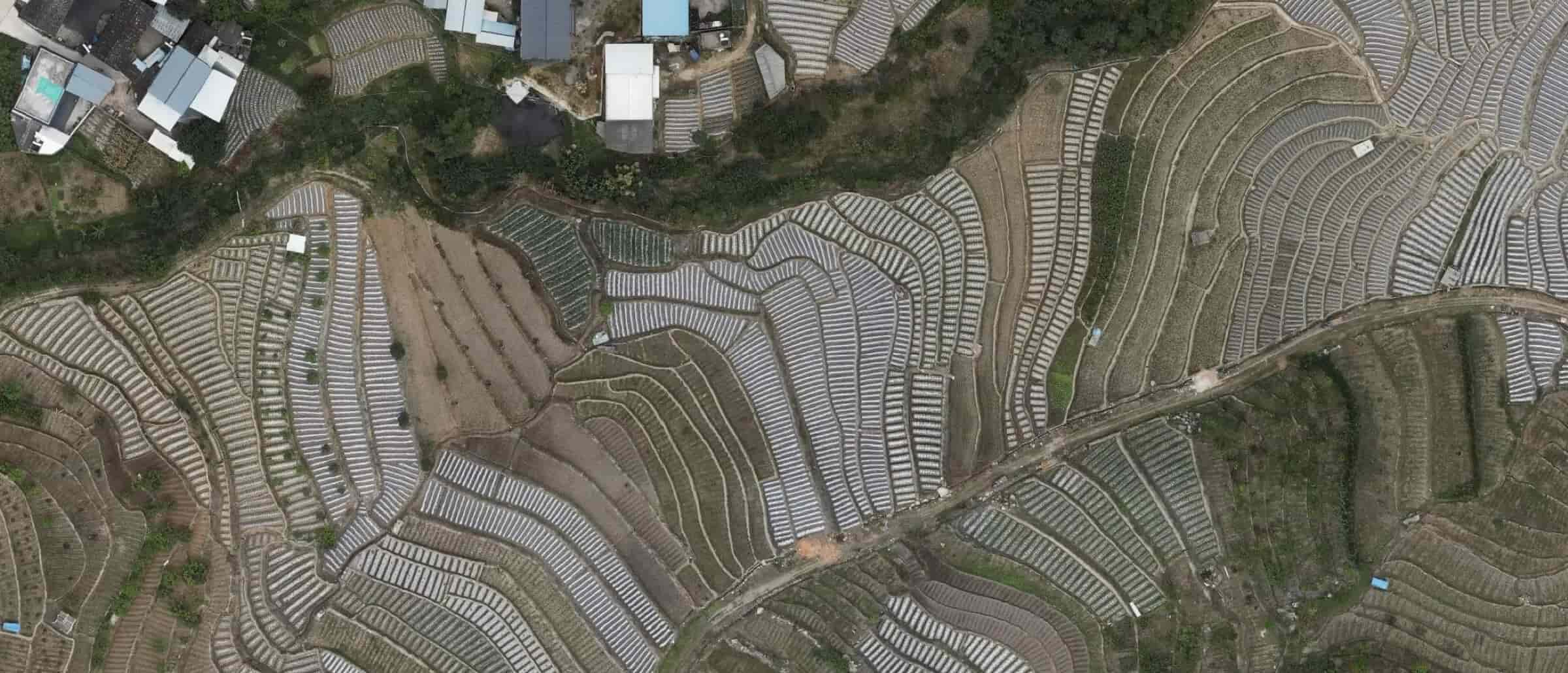 Land cover and land use survey