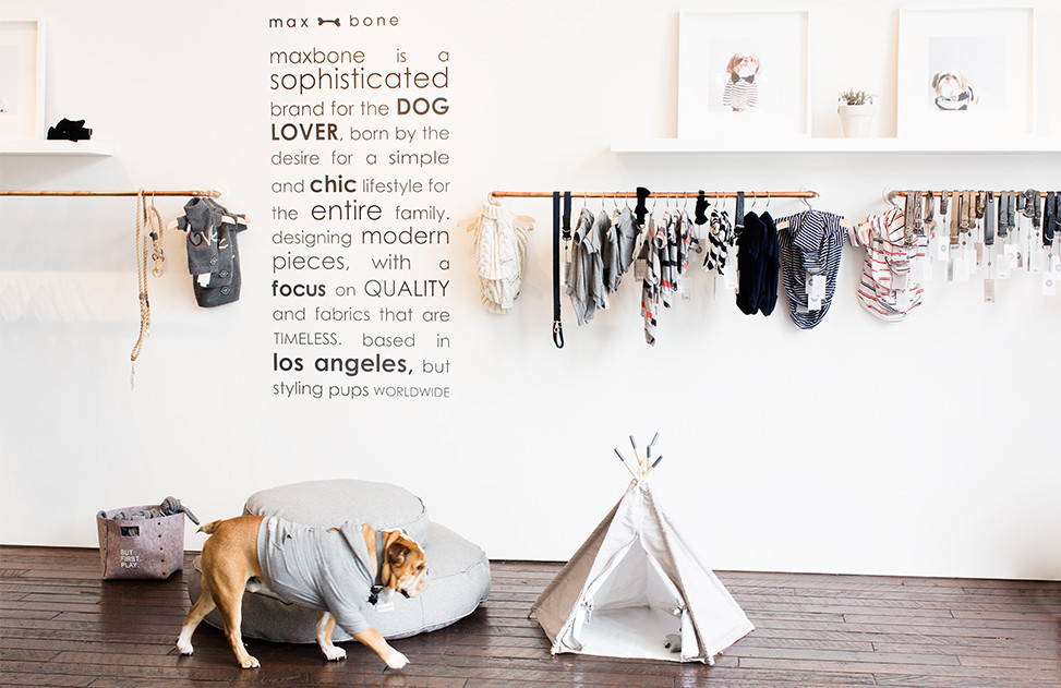愛犬愛猫のおしゃれ服、マックスボーン – Alice's Dog & Cat