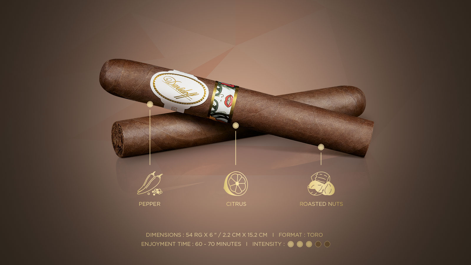 Two cigars which come with the Davidoff & Boyarde Masterpiece Humidor Classically Noir with blend details displayed, such as main aromas, enjoyment time and intensity.