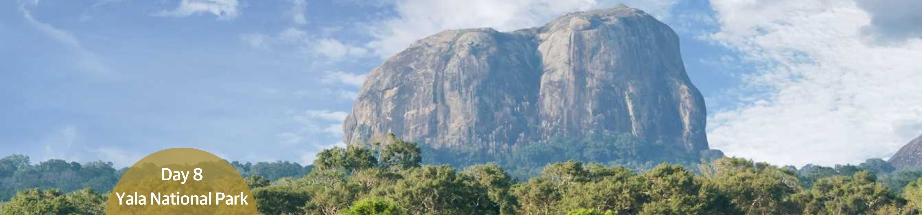 Yala National Park