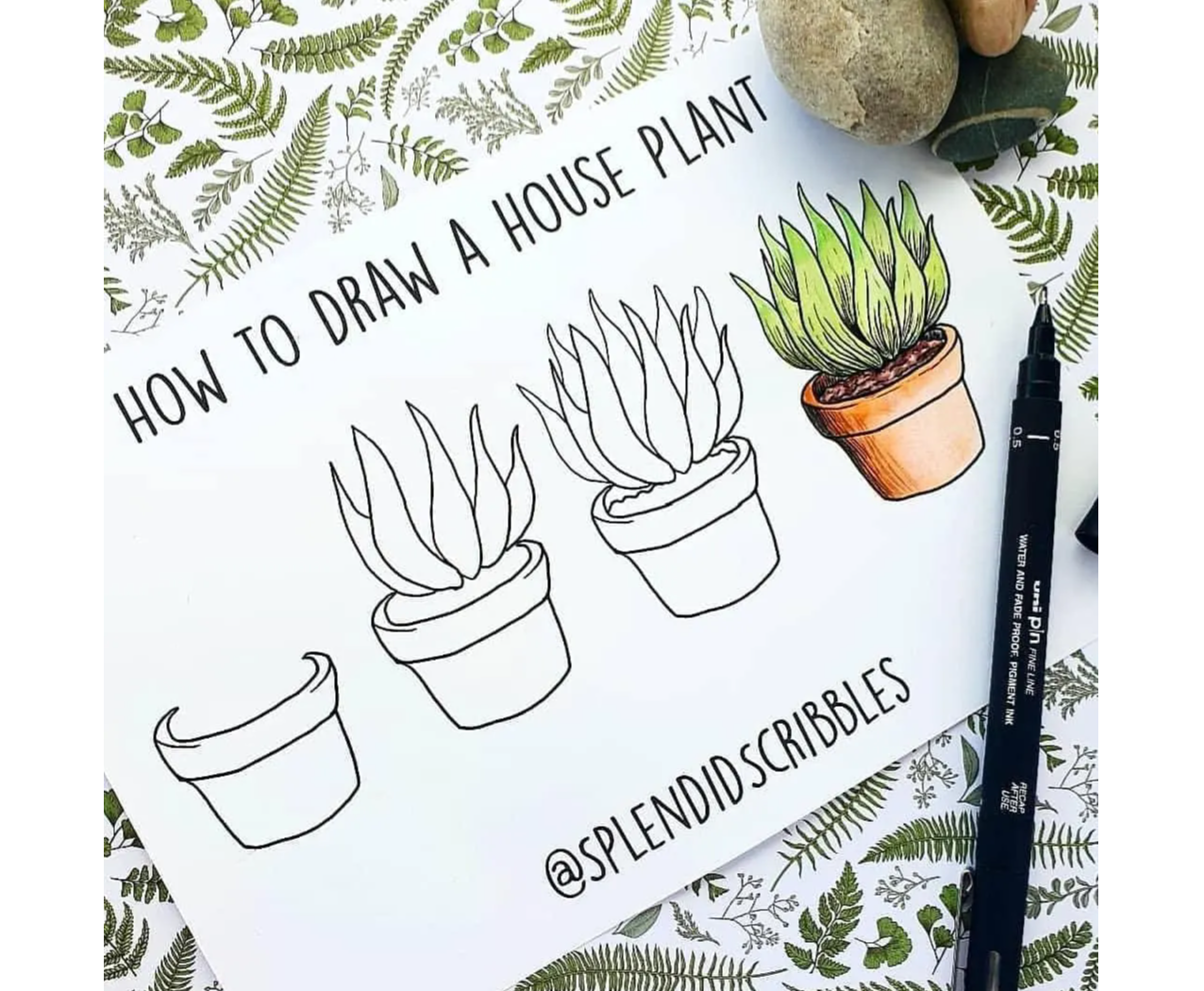 House plant doodle