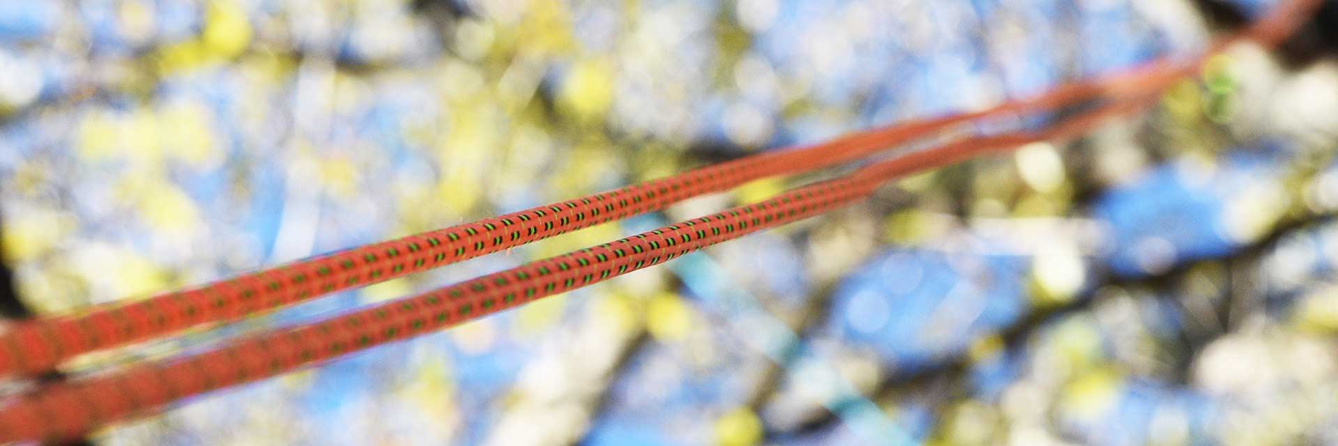 image of Rope in a tree