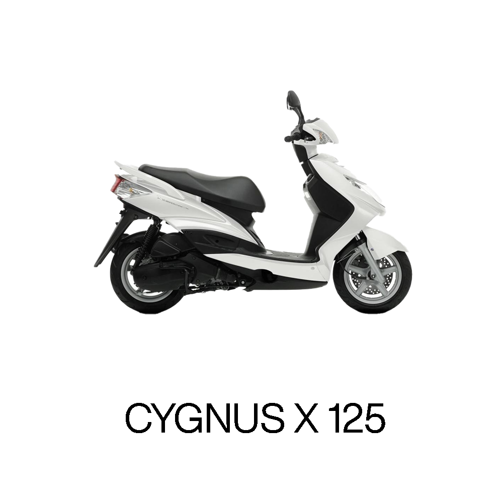 Cygnus X 125