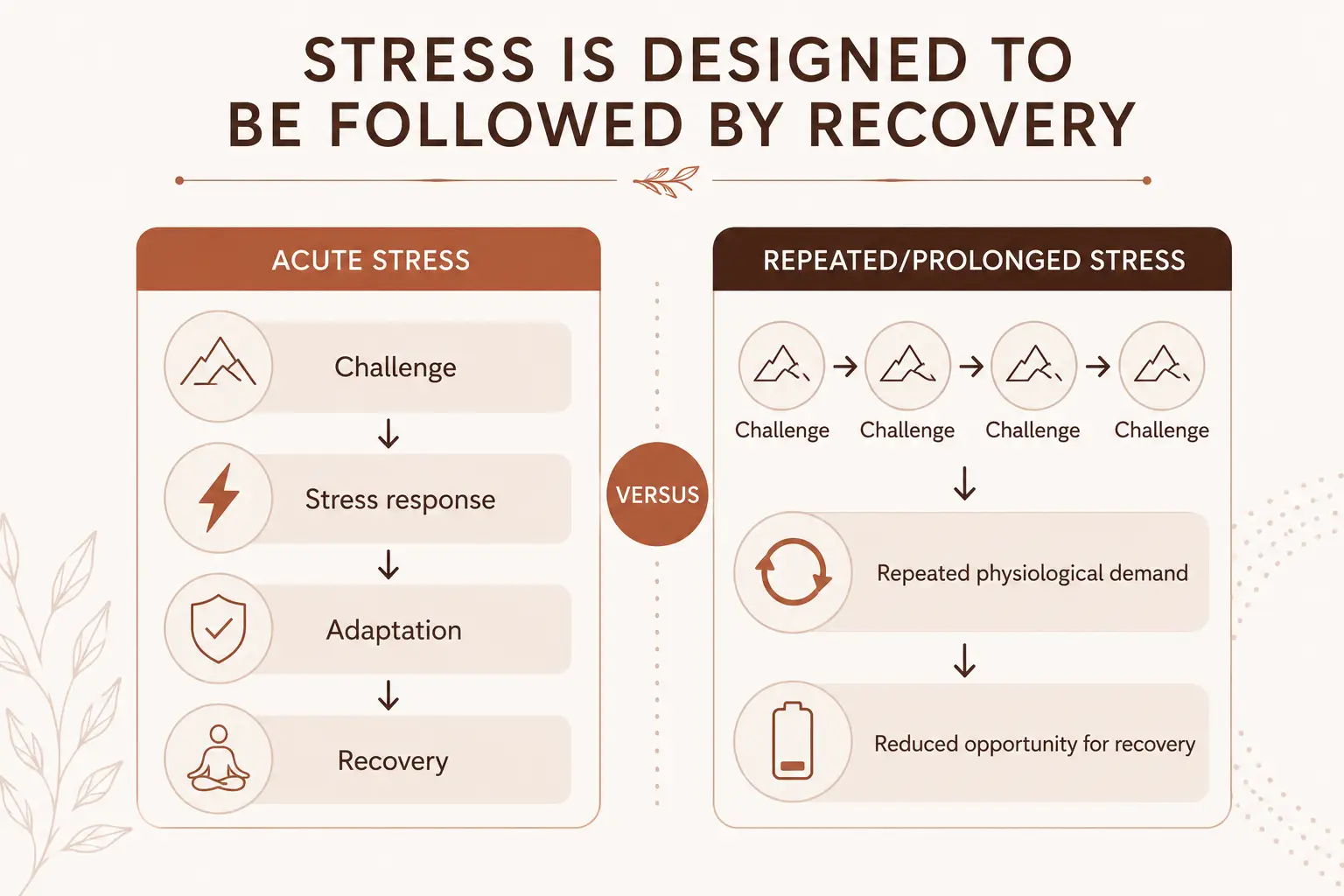 Diagram comparing normal short-term stress and recovery with repeated prolonged physiological stress.