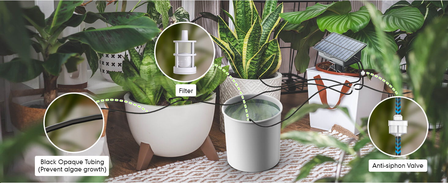 Indoor plants in decorative pots with care instructions and labels.