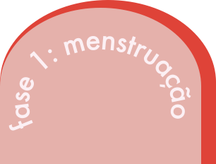 Ilustração com escrita fase 1: menstruação