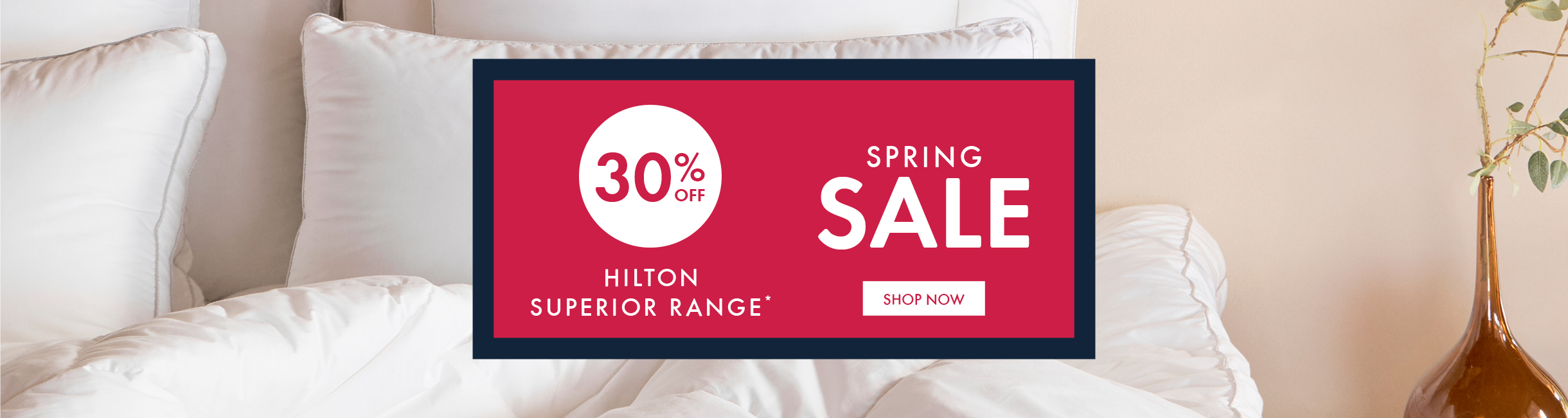 Promotional banner with 