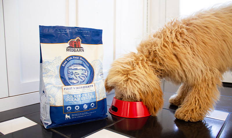 Photo of a dog eating food out of a red bowl, next to a bag of Redbarn Grain-Free Ocean Recipe food 