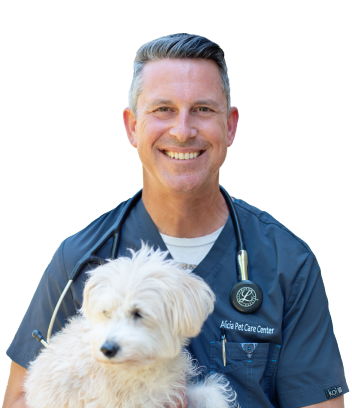 vet-dog-diarrhea