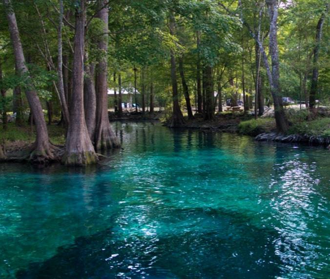 Ginnie Springs