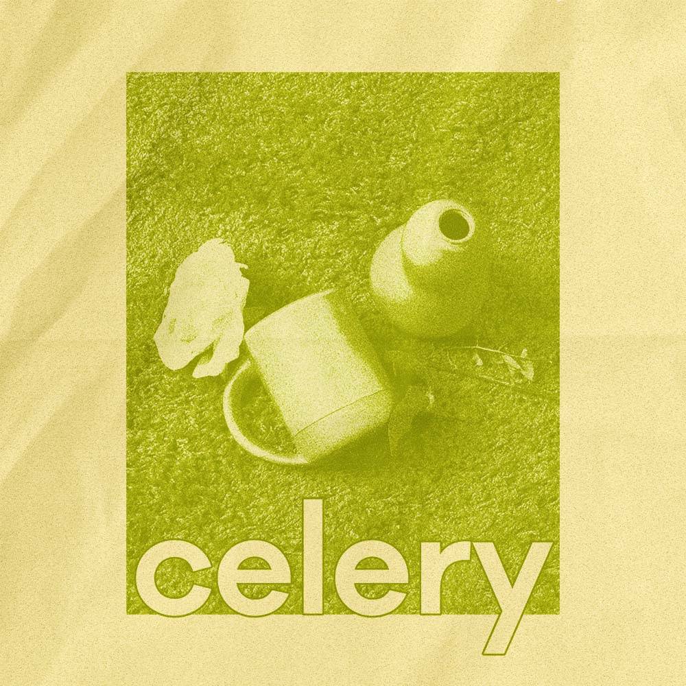 East Fork Celery playlist on Spotify