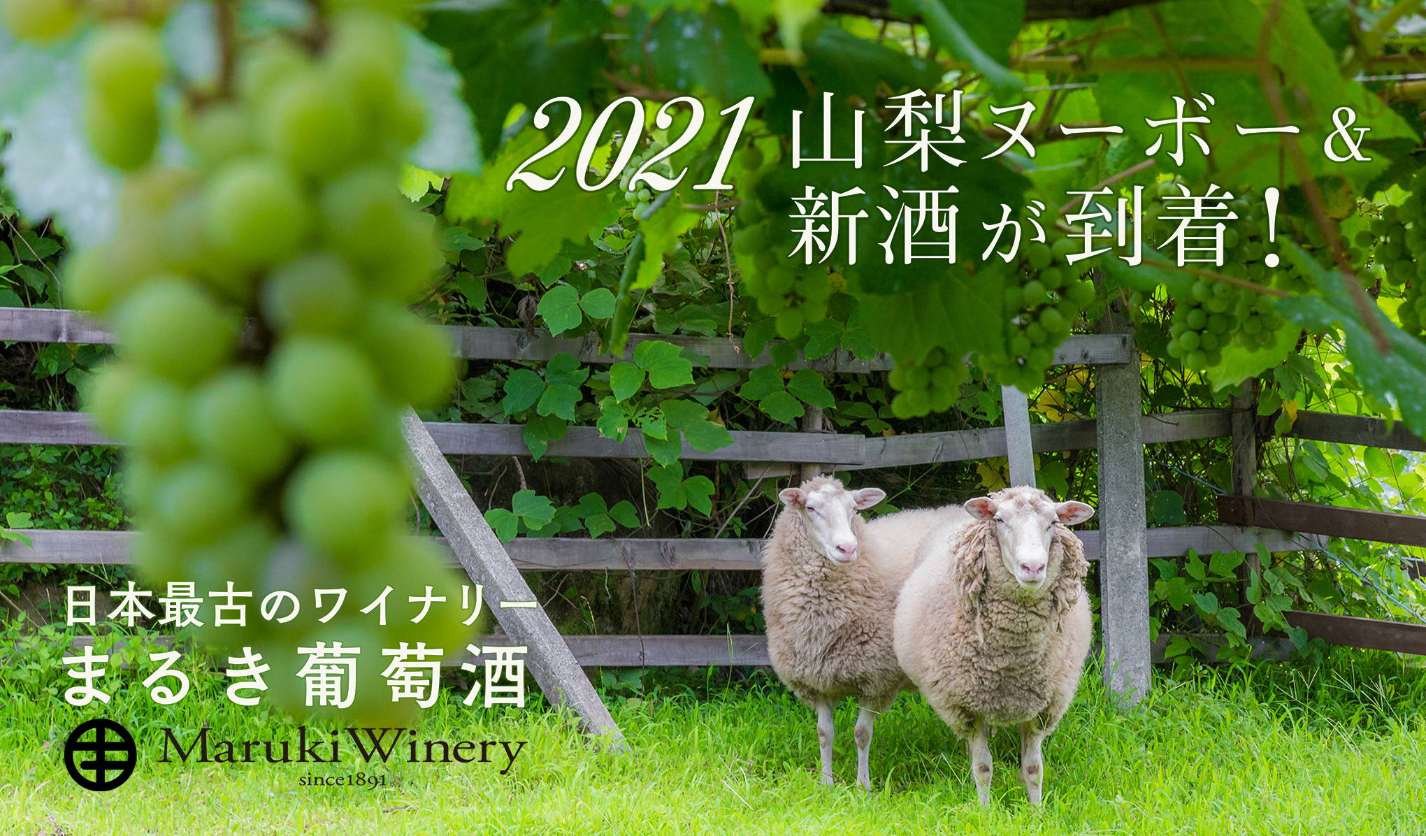 2021年の山梨ヌーボー＆新酒を堪能。日本最古のワイナリー『まるき葡萄酒』より到着！
