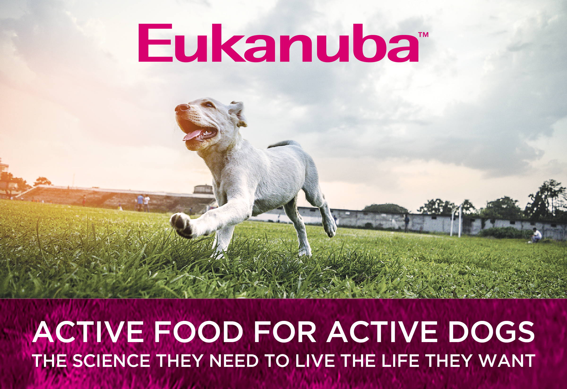 Eukanuba - active food for active dogs