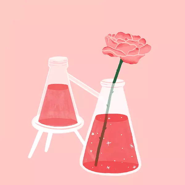 Desenho de dois vasos em formato de decanter. Um deles com uma flor