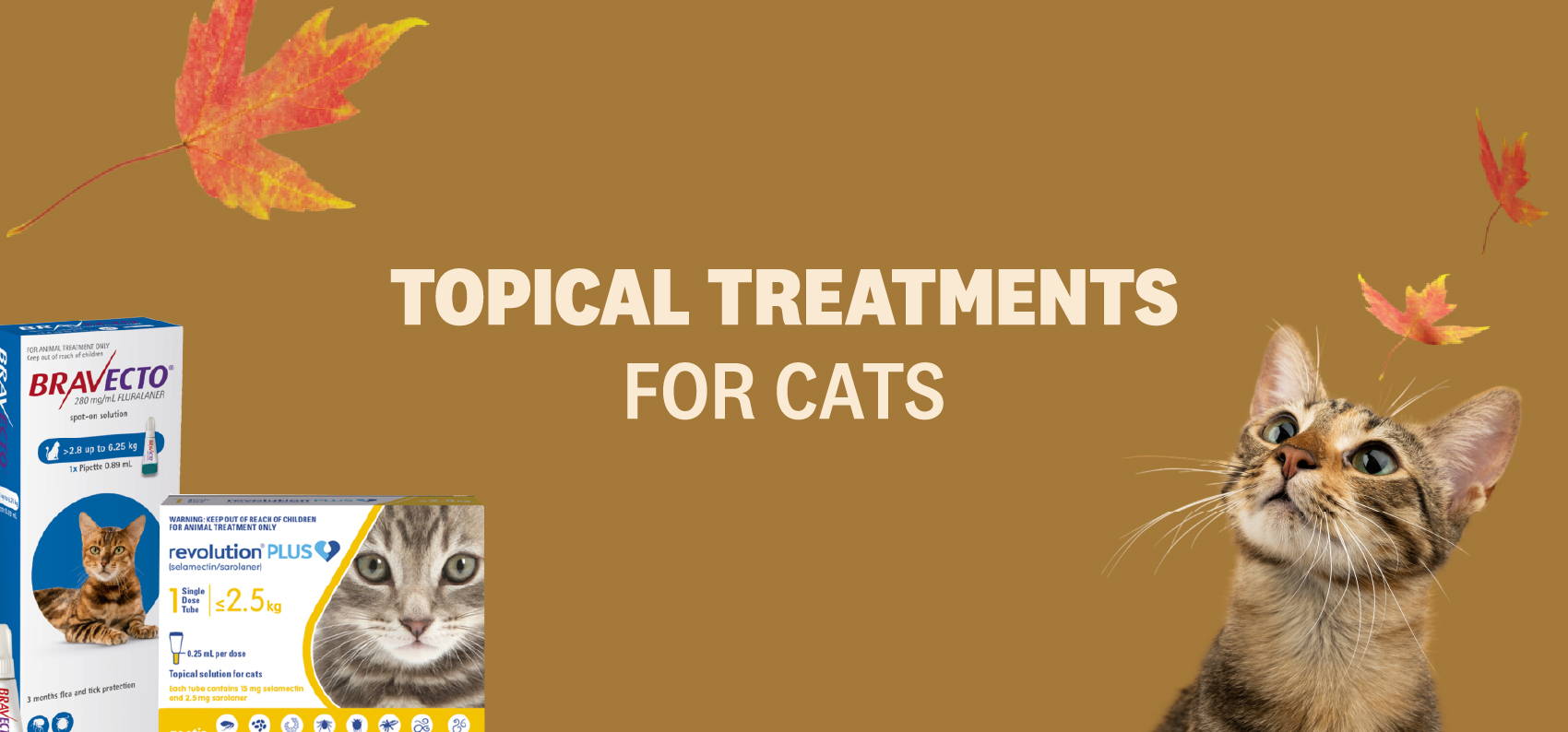 TOPICAL TREATMENTS FOR CATS