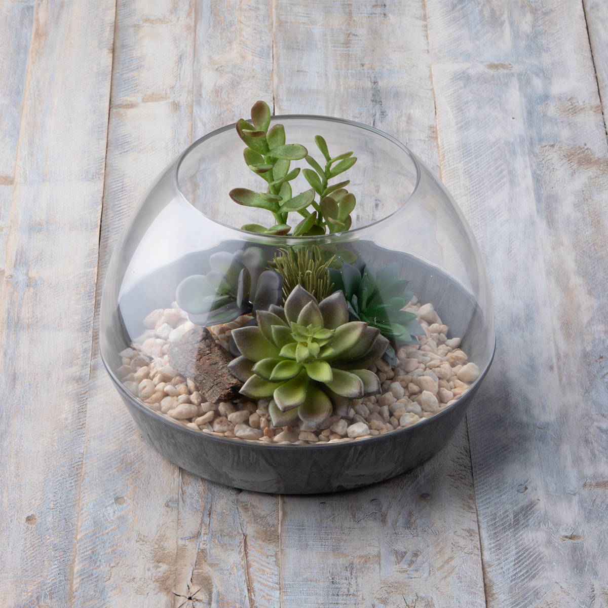 Succulents inside a gray napa terrarium planter