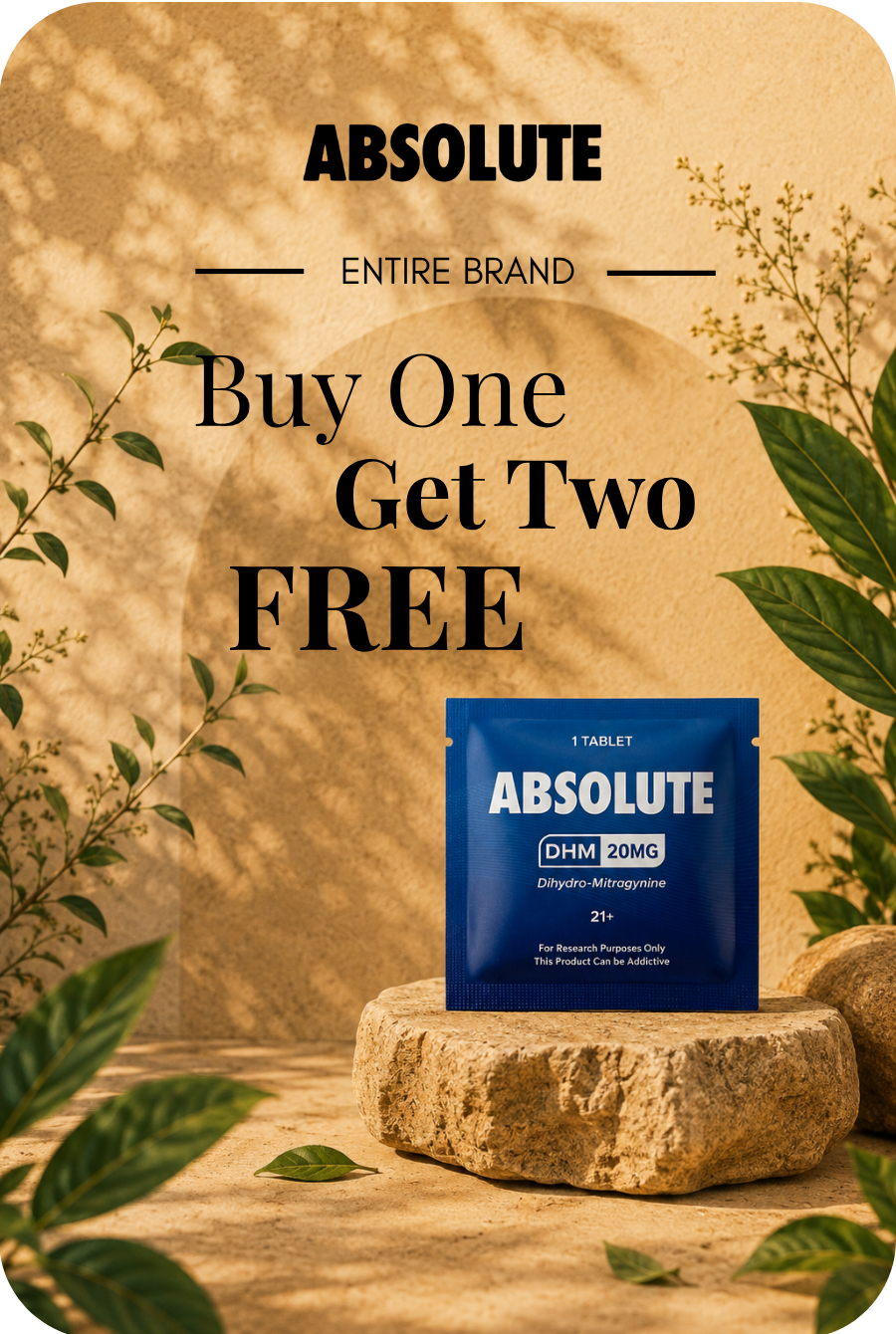 Promotional image for ABSOLUTE brand: Buy One Get Two FREE offer.