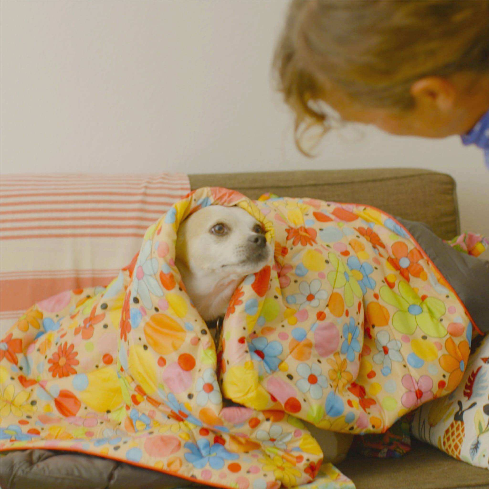 Dog wrapped in Dots & Daisies Rumpl blanket