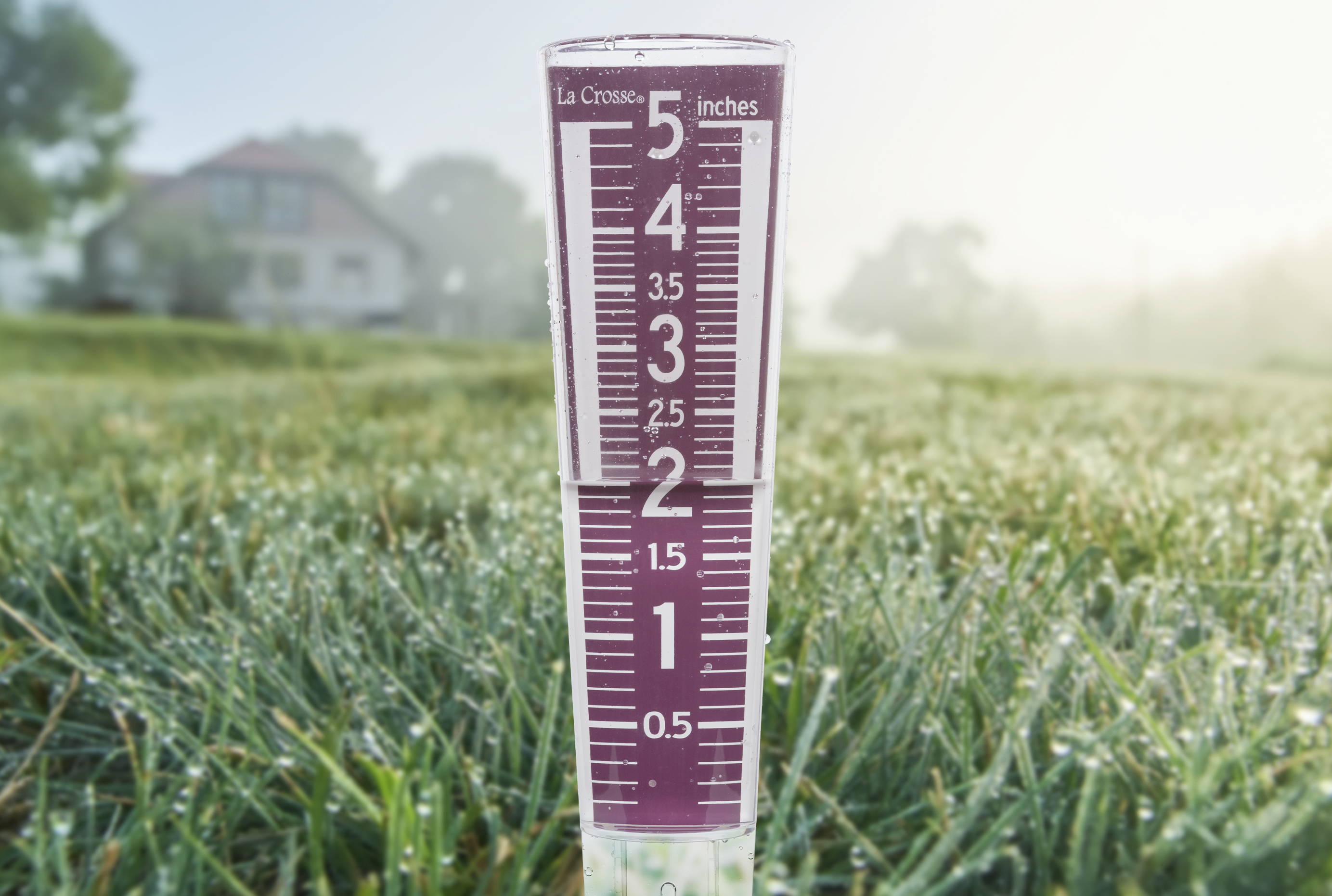 Red Plastic Large Read Rain Gauge 