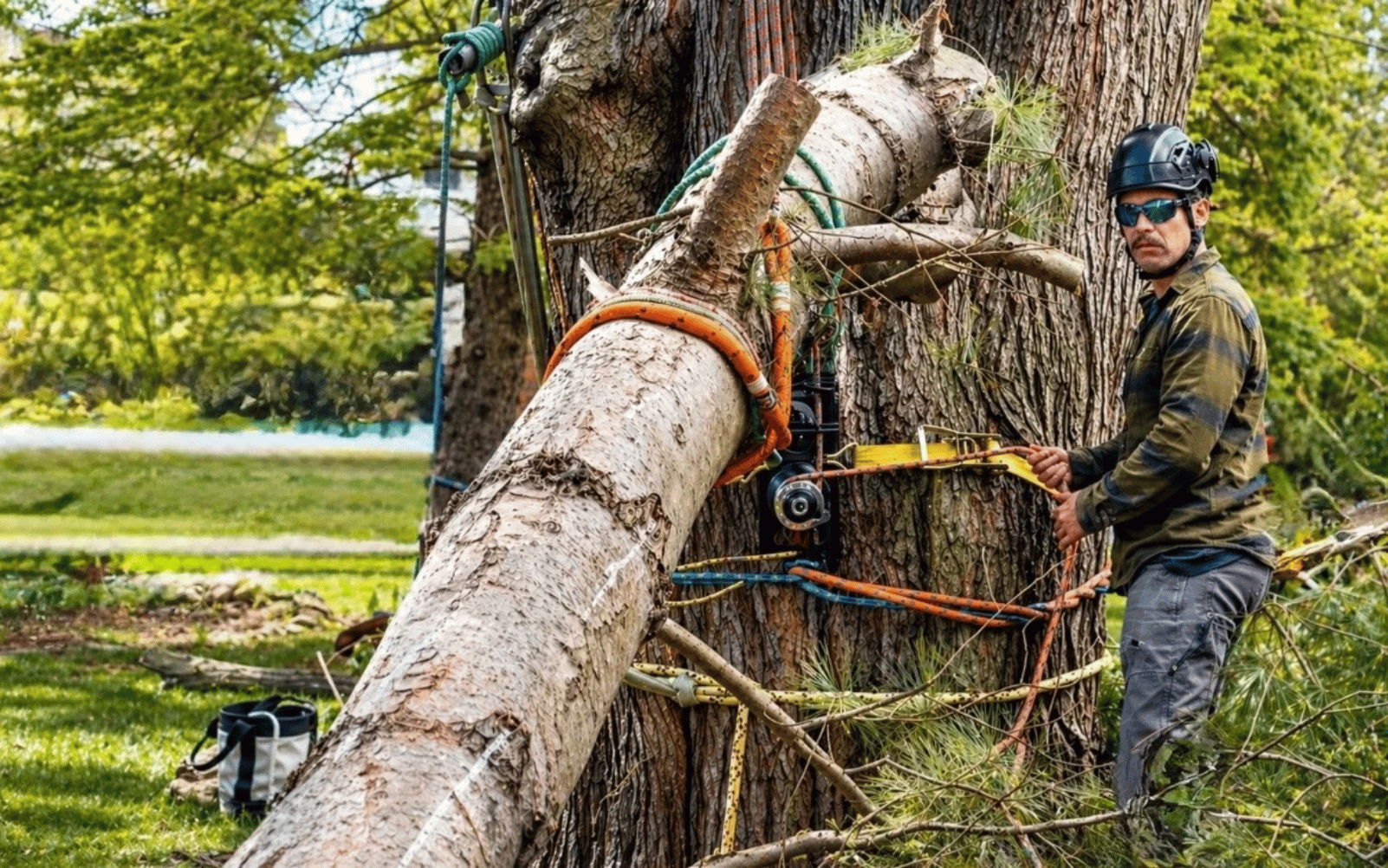 Person using equipment to cut a tree with safety gear in a wooded area.