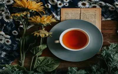Tea Blends to Energize without Caffeine - Mukha Yoga