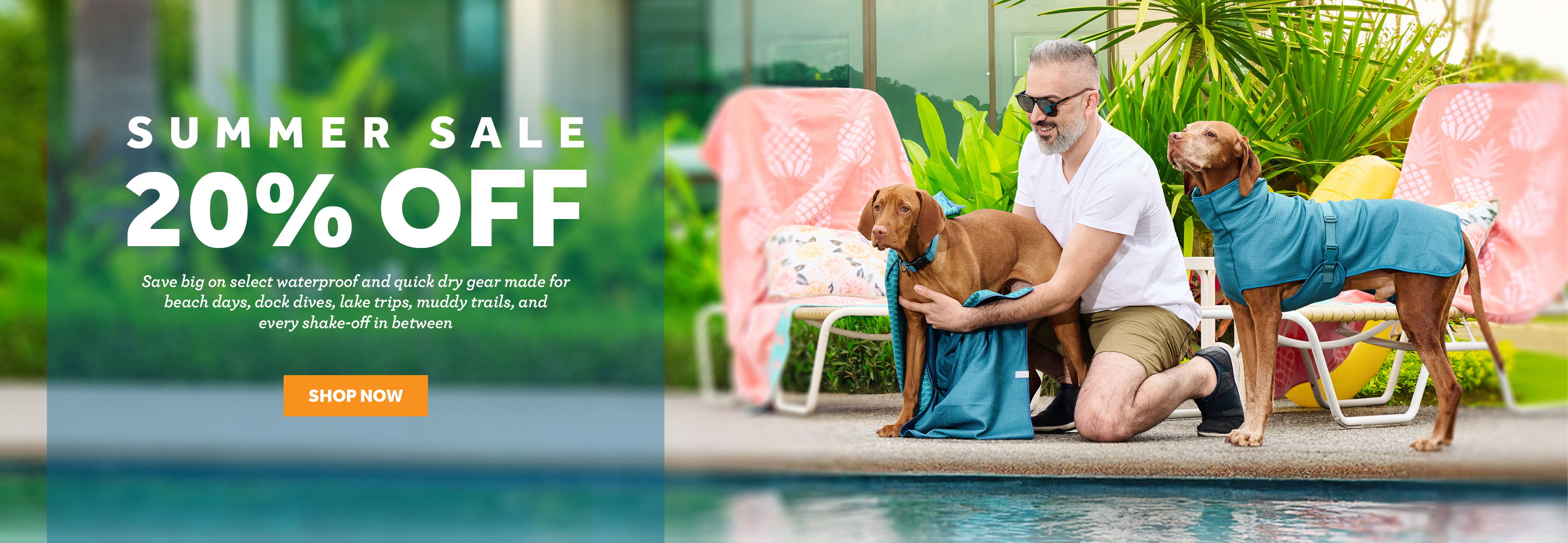 Man and two dogs by a pool; summer sale advertisement.