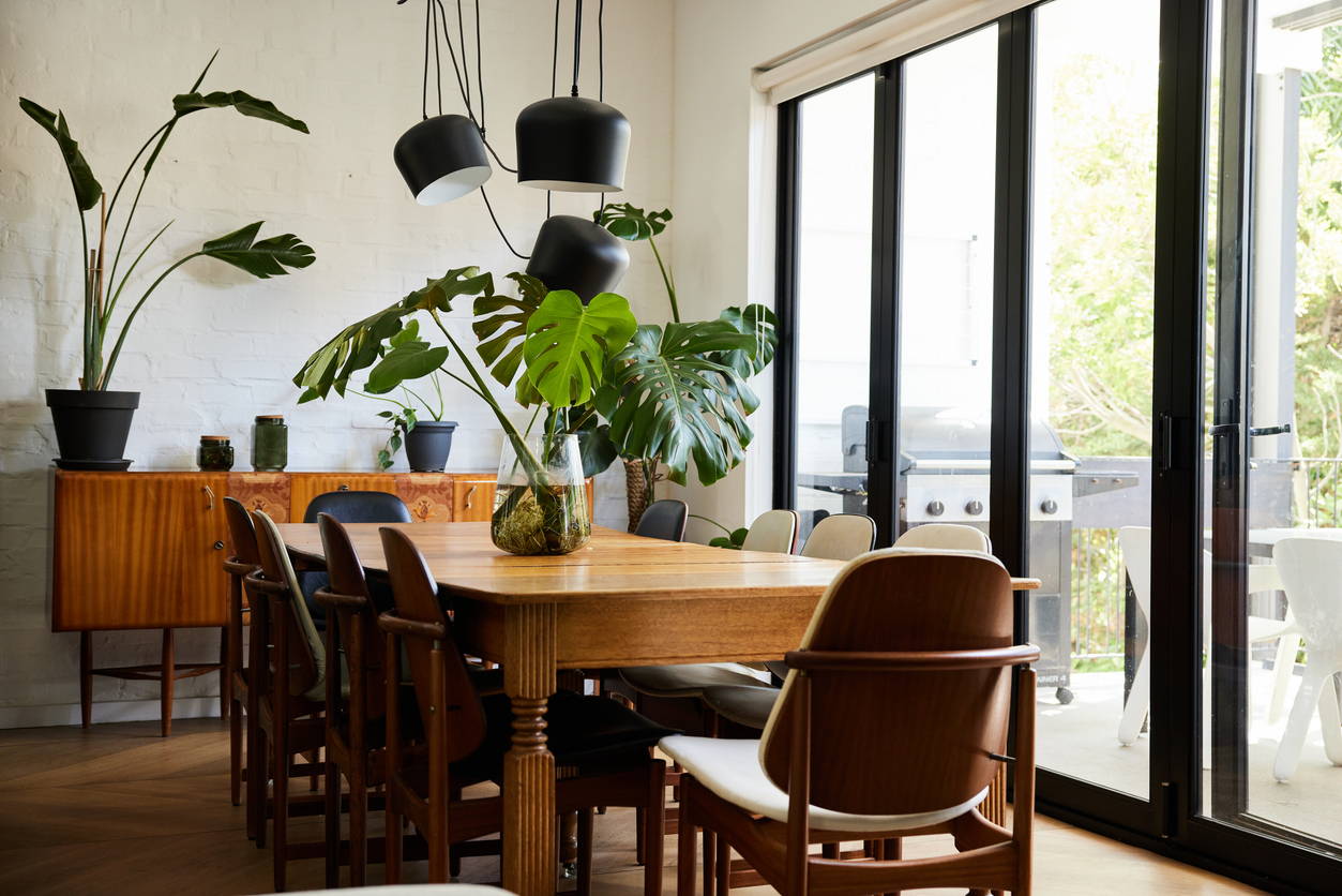 Indoor Plants in bright open Living Room from The Good Plant Co