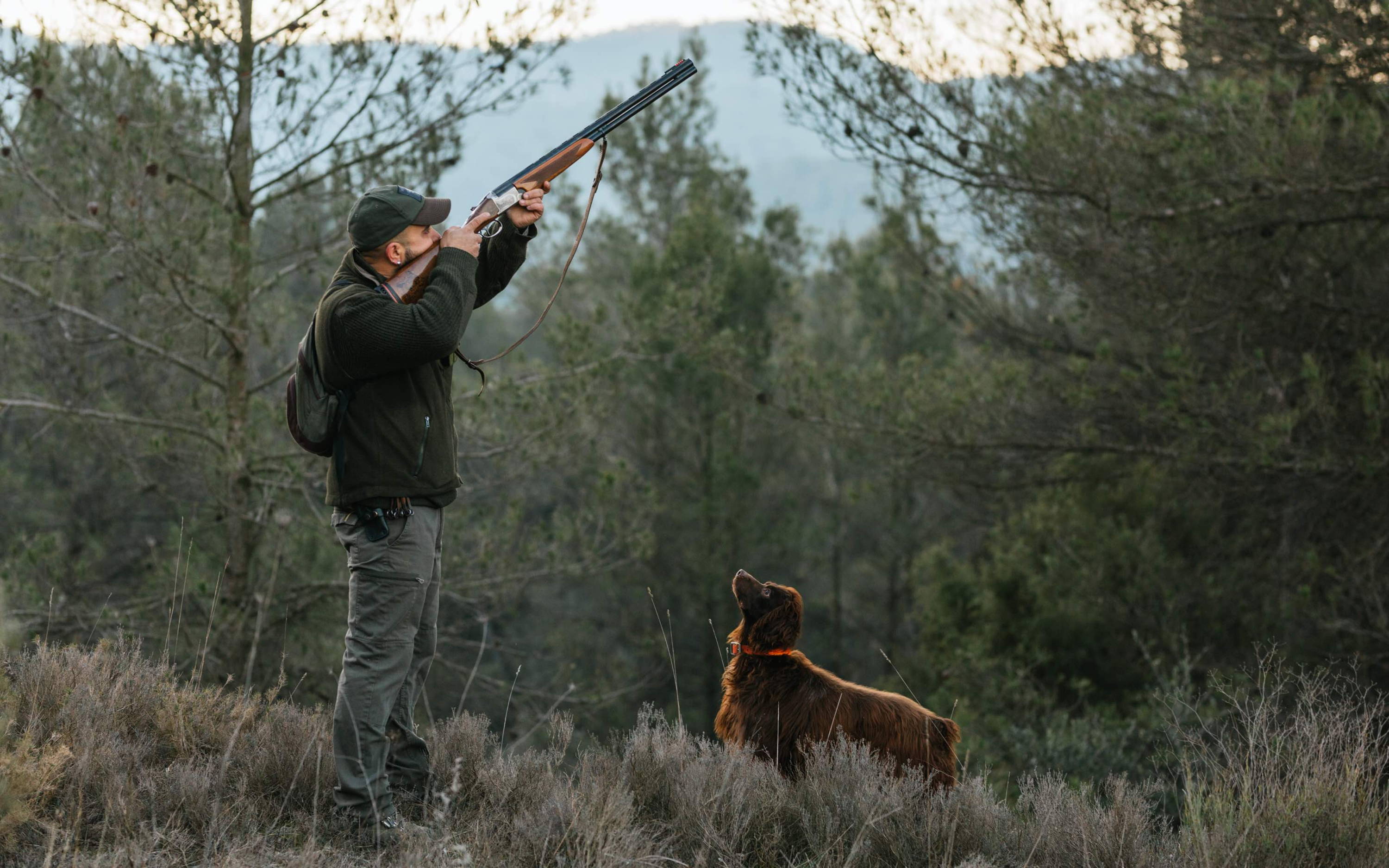 Man hunting with dog and shotgun